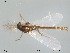  ( - Finnmark395)  @12 [ ] CreativeCommons - Attribution Non-Commercial Share-Alike (2012) NTNU Museum of Natural History and Archaeology NTNU Museum of Natural History and Archaeology