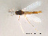  ( - Finnmark04)  @13 [ ] CreativeCommons - Attribution Non-Commercial Share-Alike (2012) NTNU Museum of Natural History and Archaeology NTNU Museum of Natural History and Archaeology