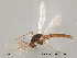  ( - Finnmark43)  @13 [ ] CreativeCommons - Attribution Non-Commercial Share-Alike (2012) NTNU Museum of Natural History and Archaeology NTNU Museum of Natural History and Archaeology