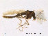  ( - Finnmark47)  @13 [ ] CreativeCommons - Attribution Non-Commercial Share-Alike (2012) NTNU Museum of Natural History and Archaeology NTNU Museum of Natural History and Archaeology