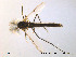  ( - Finnmark53)  @13 [ ] CreativeCommons - Attribution Non-Commercial Share-Alike (2012) NTNU Museum of Natural History and Archaeology NTNU Museum of Natural History and Archaeology