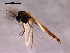  ( - Finnmark669)  @13 [ ] CreativeCommons - Attribution Non-Commercial Share-Alike (2011) NTNU Museum of Natural History and Archaeology NTNU Museum of Natural History and Archaeology