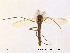 ( - Finnmark67)  @13 [ ] CreativeCommons - Attribution Non-Commercial Share-Alike (2012) NTNU Museum of Natural History and Archaeology NTNU Museum of Natural History and Archaeology