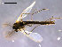  ( - Finnmark676)  @13 [ ] CreativeCommons - Attribution Non-Commercial Share-Alike (2011) NTNU Museum of Natural History and Archaeology NTNU Museum of Natural History and Archaeology