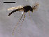  ( - Finnmark695)  @13 [ ] CreativeCommons - Attribution Non-Commercial Share-Alike (2011) NTNU Museum of Natural History and Archaeology NTNU Museum of Natural History and Archaeology