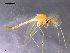  ( - Finnmark719)  @14 [ ] CreativeCommons - Attribution Non-Commercial Share-Alike (2011) NTNU Museum of Natural History and Archaeology NTNU Museum of Natural History and Archaeology