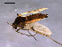  ( - Finnmark728)  @12 [ ] CreativeCommons - Attribution Non-Commercial Share-Alike (2011) NTNU Museum of Natural History and Archaeology NTNU Museum of Natural History and Archaeology