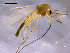  ( - Finnmark730)  @13 [ ] CreativeCommons - Attribution Non-Commercial Share-Alike (2011) NTNU Museum of Natural History and Archaeology NTNU Museum of Natural History and Archaeology