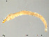  ( - Finnmark754)  @12 [ ] CreativeCommons - Attribution Non-Commercial Share-Alike (2012) NTNU Museum of Natural History and Archaeology NTNU Museum of Natural History and Archaeology
