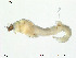  ( - Finnmark762)  @12 [ ] CreativeCommons - Attribution Non-Commercial Share-Alike (2012) NTNU Museum of Natural History and Archaeology NTNU Museum of Natural History and Archaeology