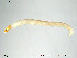  ( - Finnmark784)  @12 [ ] CreativeCommons - Attribution Non-Commercial Share-Alike (2012) NTNU Museum of Natural History and Archaeology NTNU Museum of Natural History and Archaeology