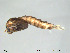  ( - Finnmark794)  @13 [ ] CreativeCommons - Attribution Non-Commercial Share-Alike (2012) NTNU Museum of Natural History and Archaeology NTNU Museum of Natural History and Archaeology
