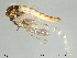  ( - Finnmark796)  @13 [ ] CreativeCommons - Attribution Non-Commercial Share-Alike (2012) NTNU Museum of Natural History and Archaeology NTNU Museum of Natural History and Archaeology
