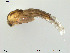  ( - Finnmark797)  @12 [ ] CreativeCommons - Attribution Non-Commercial Share-Alike (2012) NTNU Museum of Natural History and Archaeology NTNU Museum of Natural History and Archaeology
