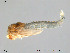  ( - Finnmark799)  @12 [ ] CreativeCommons - Attribution Non-Commercial Share-Alike (2012) NTNU Museum of Natural History and Archaeology NTNU Museum of Natural History and Archaeology