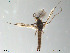  ( - Finnmark79)  @13 [ ] CreativeCommons - Attribution Non-Commercial Share-Alike (2012) NTNU Museum of Natural History and Archaeology NTNU Museum of Natural History and Archaeology