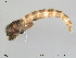  ( - Finnmark801)  @12 [ ] CreativeCommons - Attribution Non-Commercial Share-Alike (2012) NTNU Museum of Natural History and Archaeology NTNU Museum of Natural History and Archaeology