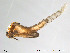  ( - Finnmark803)  @12 [ ] CreativeCommons - Attribution Non-Commercial Share-Alike (2012) NTNU Museum of Natural History and Archaeology NTNU Museum of Natural History and Archaeology