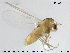  ( - Finnmark858)  @13 [ ] CreativeCommons - Attribution Non-Commercial Share-Alike (2015) NTNU University Museum, Department of Natural History NTNU University Museum, Department of Natural History