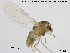  ( - Finnmark859)  @13 [ ] CreativeCommons - Attribution Non-Commercial Share-Alike (2015) NTNU University Museum, Department of Natural History NTNU University Museum, Department of Natural History