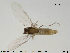 ( - Finnmark861)  @13 [ ] CreativeCommons - Attribution Non-Commercial Share-Alike (2015) NTNU University Museum, Department of Natural History NTNU University Museum, Department of Natural History