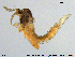  ( - Finnmark890)  @11 [ ] Creative Commons  Attribution Non-Commercial Share-Alike (2017) NTNU University Museum, Department of Natural History NTNU University Museum, Department of Natural History