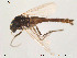  ( - Finnmark90)  @13 [ ] CreativeCommons - Attribution Non-Commercial Share-Alike (2012) NTNU Museum of Natural History and Archaeology NTNU Museum of Natural History and Archaeology