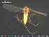  ( - Finnmark865)  @12 [ ] CreativeCommons - Attribution Non-Commercial Share-Alike (2015) NTNU University Museum, Department of Natural History NTNU University Museum, Department of Natural History