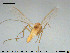  ( - Finnmark866)  @12 [ ] CreativeCommons - Attribution Non-Commercial Share-Alike (2015) NTNU University Museum, Department of Natural History NTNU University Museum, Department of Natural History