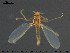  ( - Finnmark870)  @13 [ ] CreativeCommons - Attribution Non-Commercial Share-Alike (2015) NTNU University Museum, Department of Natural History NTNU University Museum, Department of Natural History
