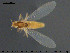  ( - Finnmark871)  @13 [ ] CreativeCommons - Attribution Non-Commercial Share-Alike (2015) NTNU University Museum, Department of Natural History NTNU University Museum, Department of Natural History