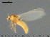  ( - Finnmark872)  @11 [ ] CreativeCommons - Attribution Non-Commercial Share-Alike (2015) NTNU University Museum, Department of Natural History NTNU University Museum, Department of Natural History