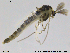  ( - RIN_CH03)  @13 [ ] CreativeCommons - Attribution Non-Commercial Share-Alike (2013) Mona Saursaunet, NTNU Museum of Natural History and Archeology NTNU Museum of Natural History and Archeology