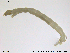  ( - RIN_CH30)  @12 [ ] CreativeCommons - Attribution Non-Commercial Share-Alike (2013) Mona Saursaunet, NTNU Museum of Natural History and Archeology NTNU Museum of Natural History and Archeology