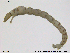  ( - RIN_CH32)  @12 [ ] CreativeCommons - Attribution Non-Commercial Share-Alike (2013) Mona Saursaunet, NTNU Museum of Natural History and Archeology NTNU Museum of Natural History and Archeology