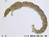  ( - RIN_CH34)  @12 [ ] CreativeCommons - Attribution Non-Commercial Share-Alike (2013) Mona Saursaunet, NTNU Museum of Natural History and Archeology NTNU Museum of Natural History and Archeology