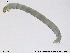  ( - RIN_CH40)  @12 [ ] CreativeCommons - Attribution Non-Commercial Share-Alike (2013) Mona Saursaunet, NTNU Museum of Natural History and Archeology NTNU Museum of Natural History and Archeology