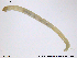  ( - RIN_CH49)  @12 [ ] CreativeCommons - Attribution Non-Commercial Share-Alike (2013) Mona Saursaunet, NTNU Museum of Natural History and Archeology NTNU Museum of Natural History and Archeology
