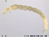  ( - RIN_CH50)  @12 [ ] CreativeCommons - Attribution Non-Commercial Share-Alike (2013) Mona Saursaunet, NTNU Museum of Natural History and Archeology NTNU Museum of Natural History and Archeology