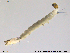  ( - RIN_CH70)  @13 [ ] CreativeCommons - Attribution Non-Commercial Share-Alike (2013) Mona Saursaunet, NTNU Museum of Natural History and Archeology NTNU Museum of Natural History and Archeology