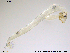  ( - RIN_CH71)  @12 [ ] CreativeCommons - Attribution Non-Commercial Share-Alike (2013) Mona Saursaunet, NTNU Museum of Natural History and Archeology NTNU Museum of Natural History and Archeology