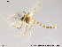  ( - RIN_CH76)  @13 [ ] CreativeCommons - Attribution Non-Commercial Share-Alike (2013) Mona Saursaunet, NTNU Museum of Natural History and Archeology NTNU Museum of Natural History and Archeology