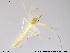  ( - RIN_CH84)  @12 [ ] CreativeCommons - Attribution Non-Commercial Share-Alike (2013) Mona Saursaunet, NTNU Museum of Natural History and Archeology NTNU Museum of Natural History and Archeology