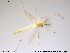  ( - RIN_CH89)  @12 [ ] CreativeCommons - Attribution Non-Commercial Share-Alike (2013) Mona Saursaunet, NTNU Museum of Natural History and Archeology NTNU Museum of Natural History and Archeology
