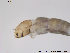  ( - BJ114)  @12 [ ] CreativeCommons - Attribution Non-Commercial Share-Alike (2013) NTNU Museum of Natural History and Archaeology NTNU Museum of Natural History and Archaeology