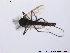 ( - BJ125)  @12 [ ] CreativeCommons - Attribution Non-Commercial Share-Alike (2013) NTNU Museum of Natural History and Archaeology NTNU Museum of Natural History and Archaeology