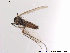  ( - BJ144)  @12 [ ] CreativeCommons - Attribution Non-Commercial Share-Alike (2013) NTNU Museum of Natural History and Archaeology NTNU Museum of Natural History and Archaeology