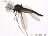  ( - BJ166)  @13 [ ] CreativeCommons - Attribution Non-Commercial Share-Alike (2013) NTNU Museum of Natural History and Archaeology NTNU Museum of Natural History and Archaeology