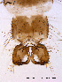  ( - BJ174)  @12 [ ] CreativeCommons - Attribution Non-Commercial Share-Alike (2011) NTNU Museum of Natural History and Archaeology NTNU Museum of Natural History and Archaeology