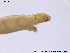  ( - BJ219)  @12 [ ] CreativeCommons - Attribution Non-Commercial Share-Alike (2011) NTNU Museum of Natural History and Archaeology NTNU Museum of Natural History and Archaeology